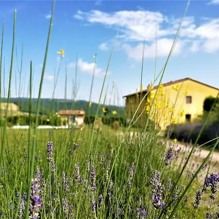 Villa Zen *